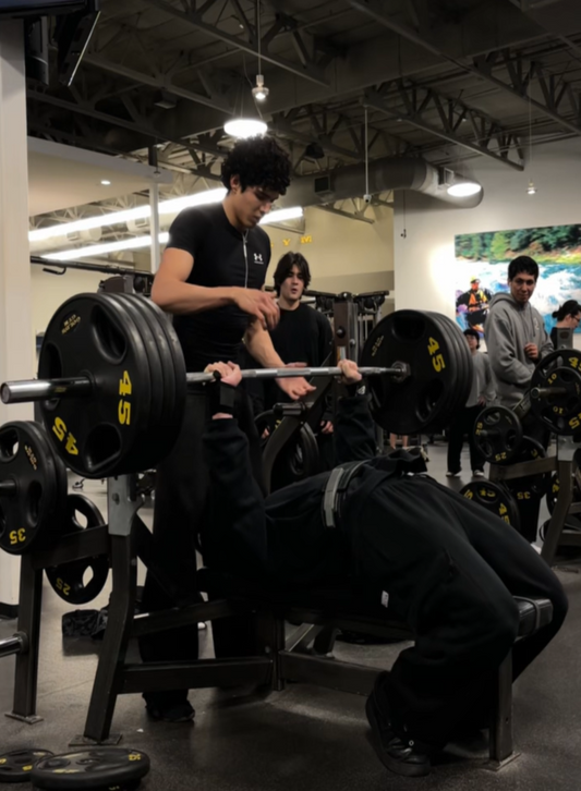 Bench Press Edition: Workout Program